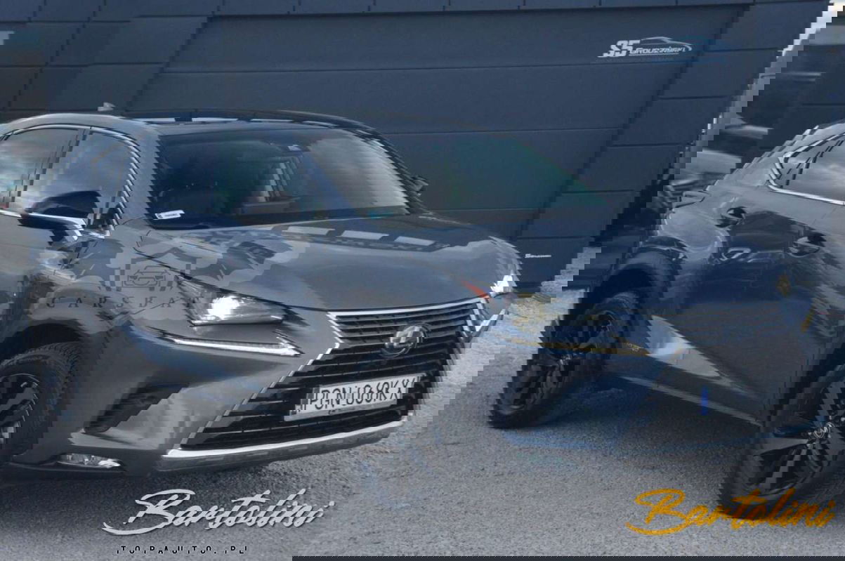 Lexus NX I 2019
