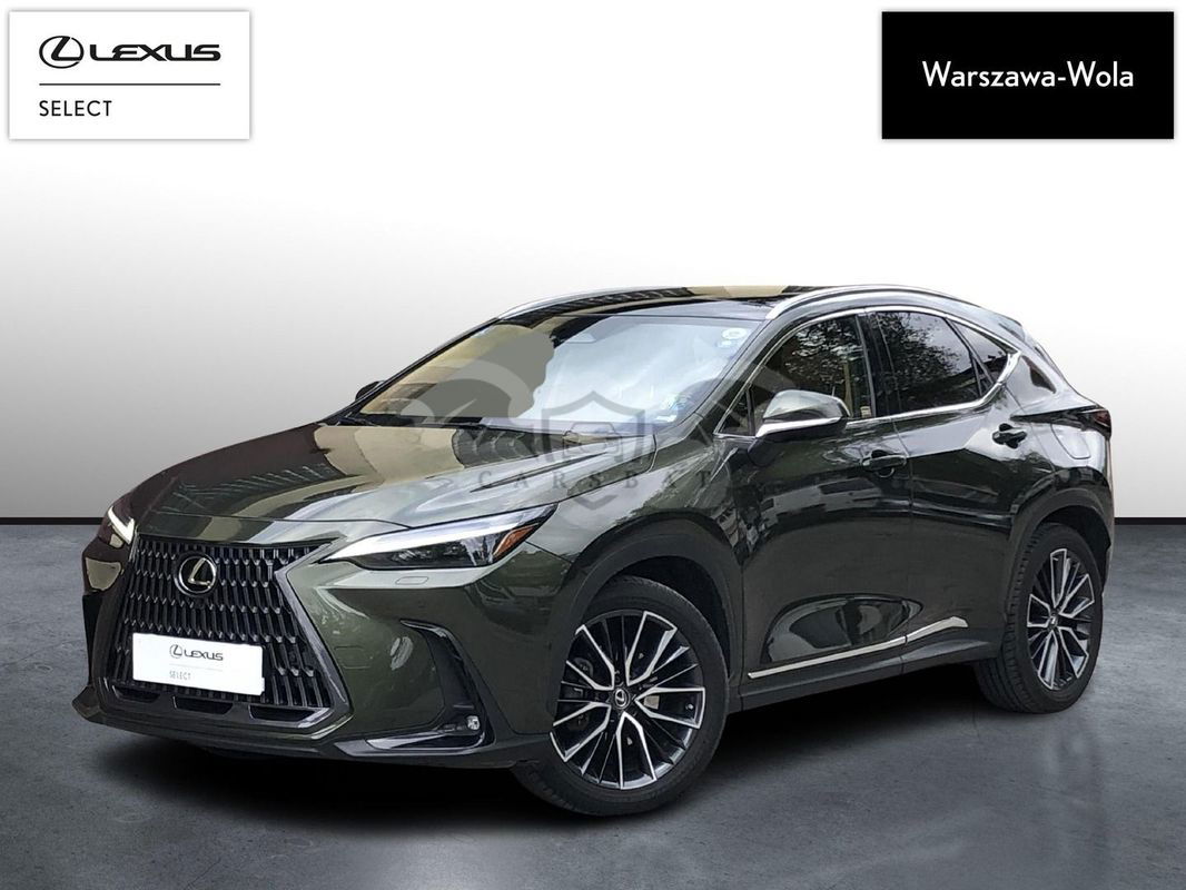 Lexus NX II 2022