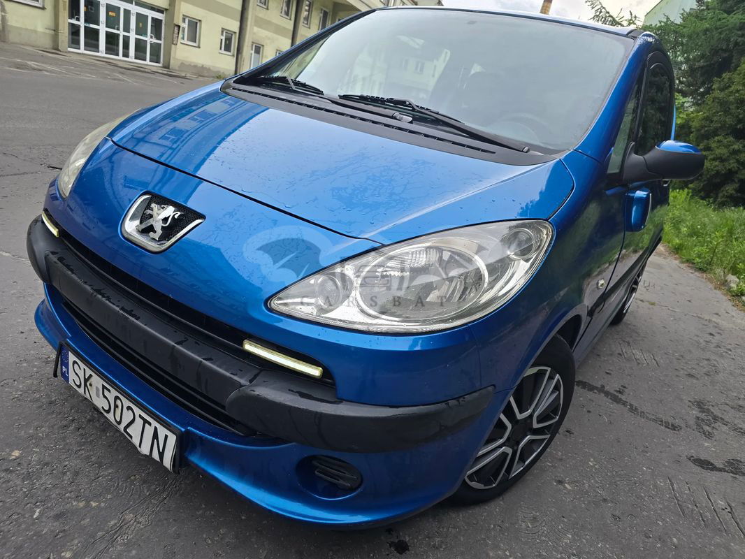 Peugeot 1007 HDi 70 Filou 2005