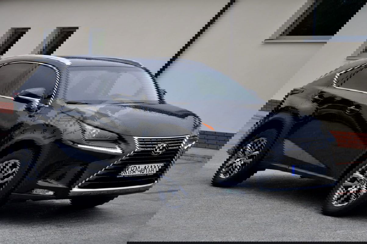 Lexus NX I 300 Elegance Optimum AWD 2018