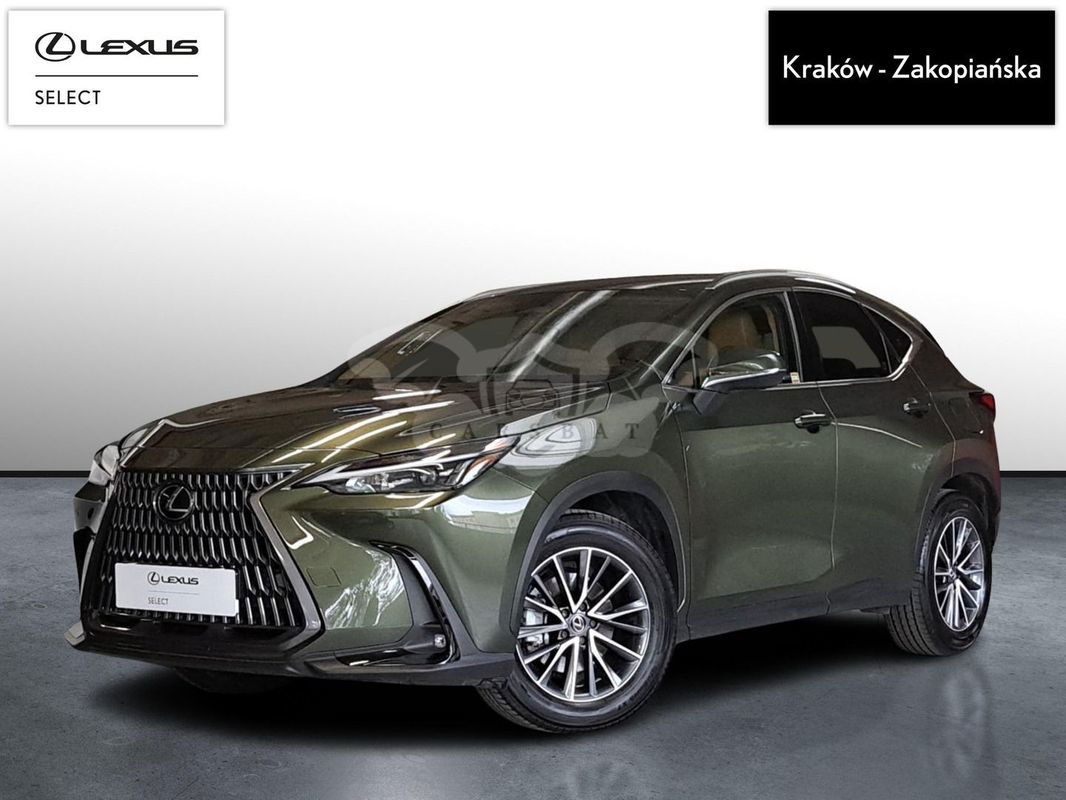 Lexus NX II 2023
