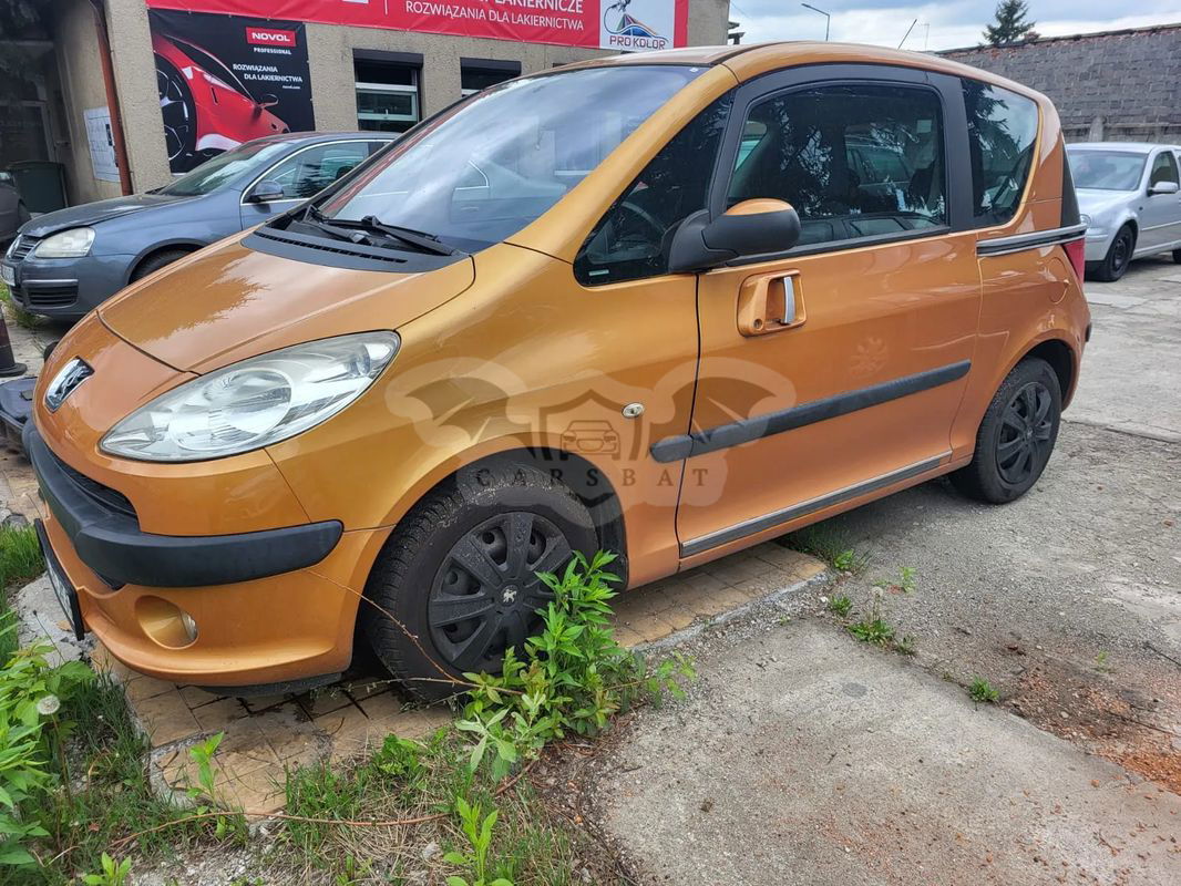 Peugeot 1007 75 Tendance 2006