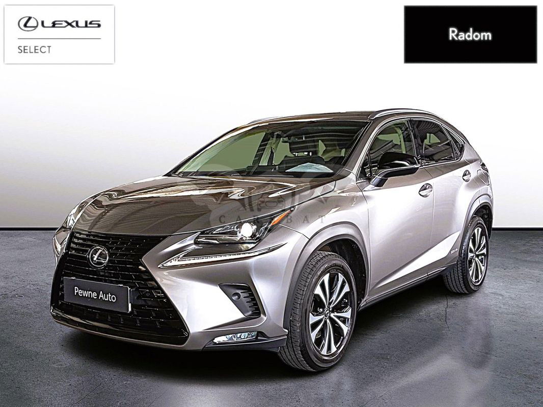 Lexus NX I 2019