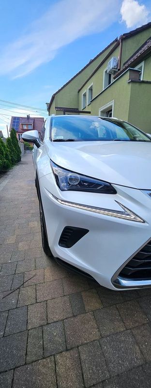 Lexus NX II 300h Optimum AWD 2019