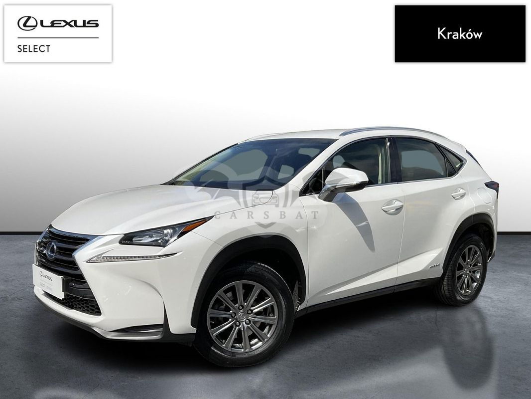 Lexus NX I 2014