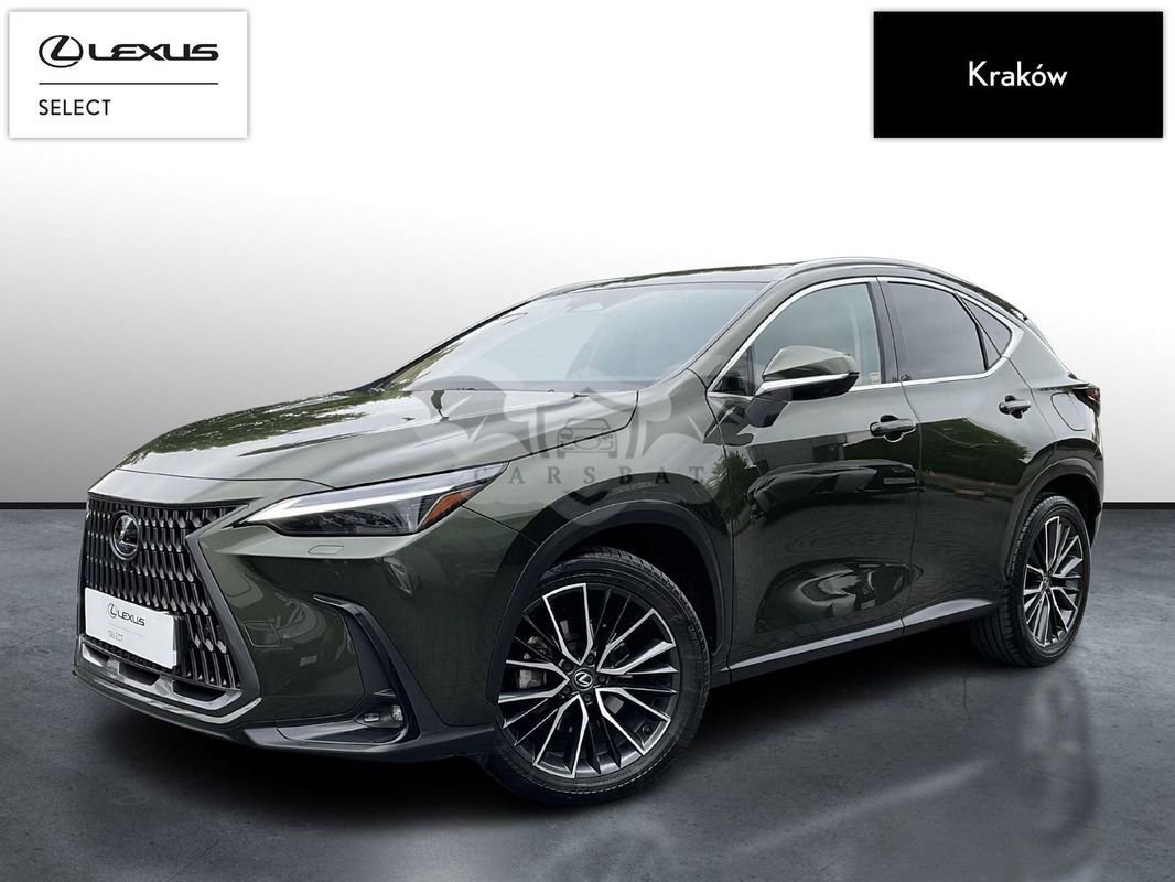 Lexus NX II 2023