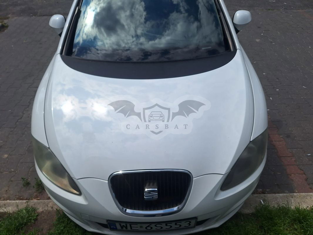 Seat Leon II 2010