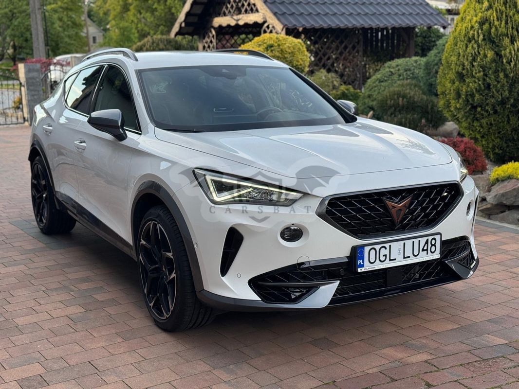 Cupra Formentor 2.0 TSI 4Drive VZ DSG 2020