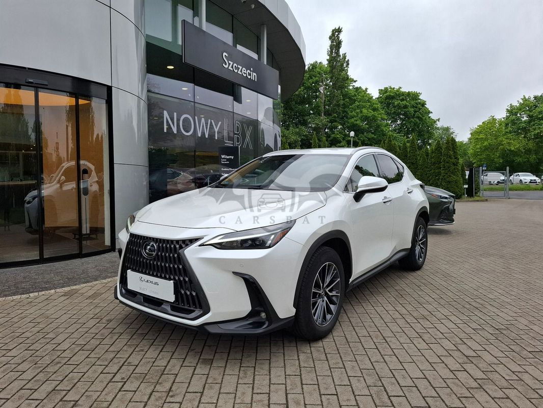 Lexus NX II 2022
