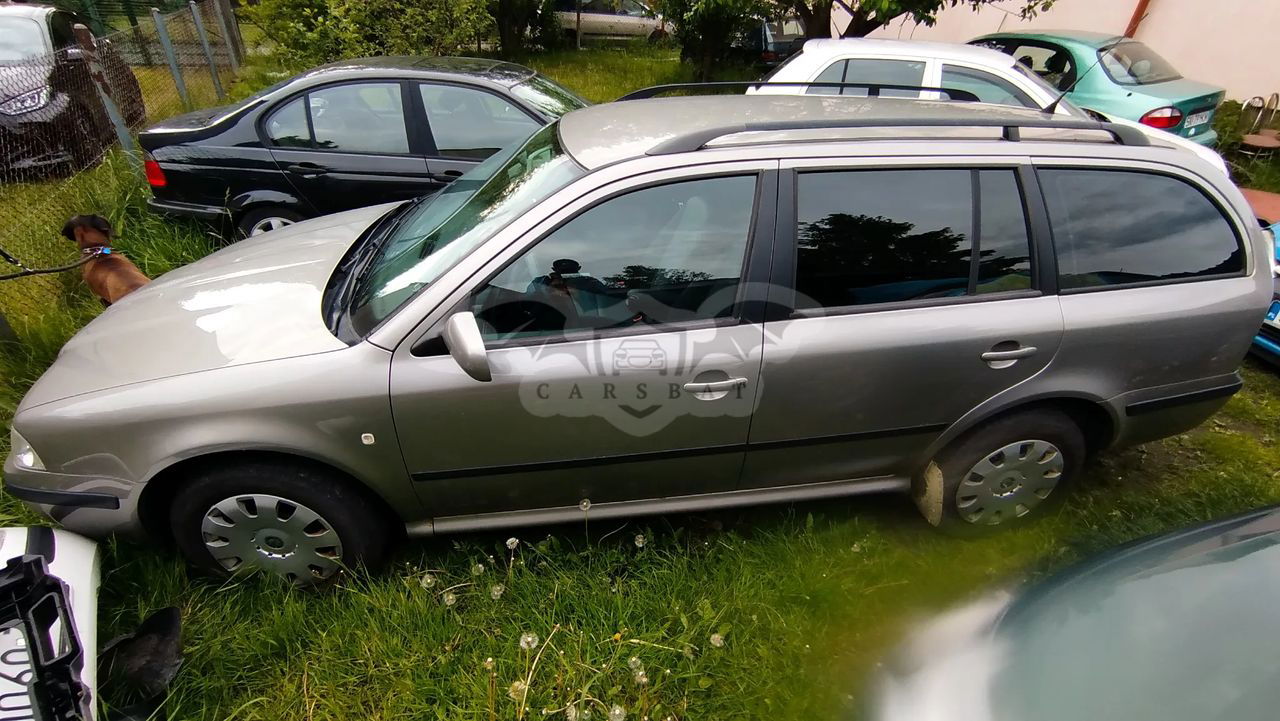 Skoda Octavia I 1.9 TDI Tour Plus Ice+ 2007