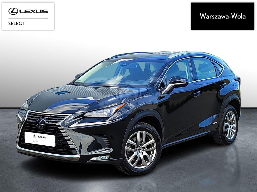 Lexus NX I 2019