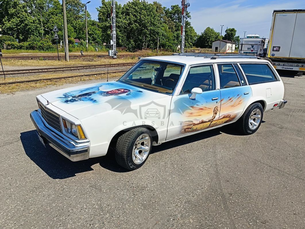 Chevrolet Malibu 1979