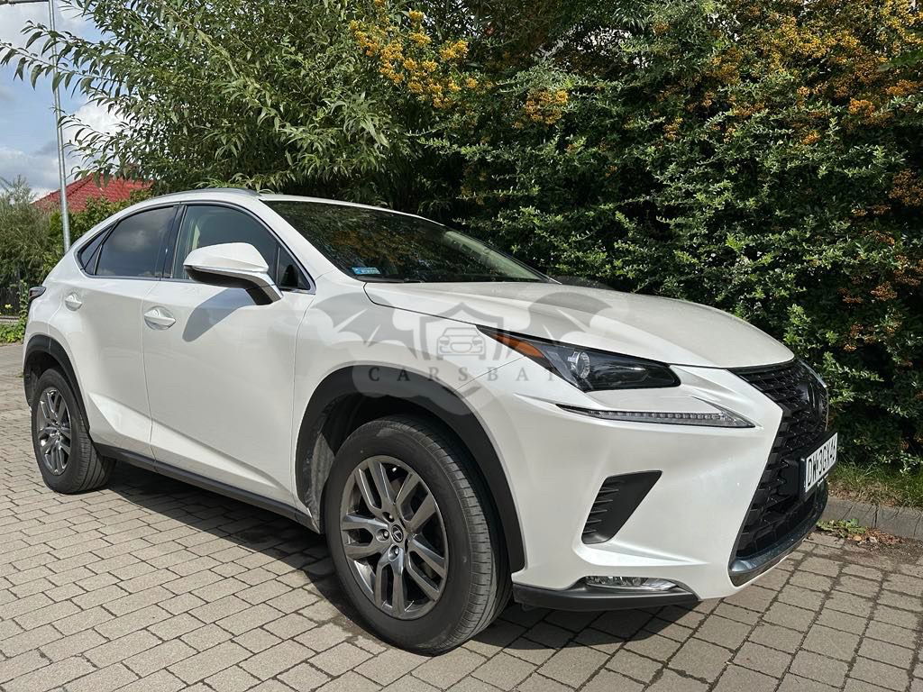 Lexus NX I 300 Elegance Optimum AWD 2019