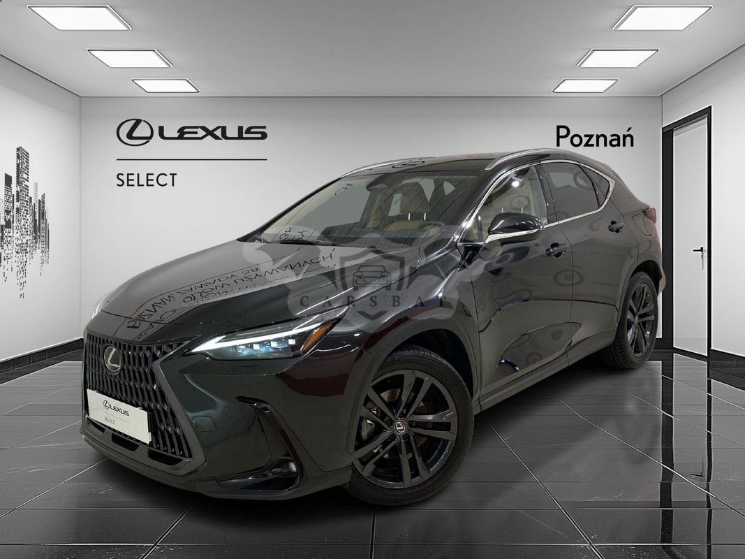 Lexus NX II 2024