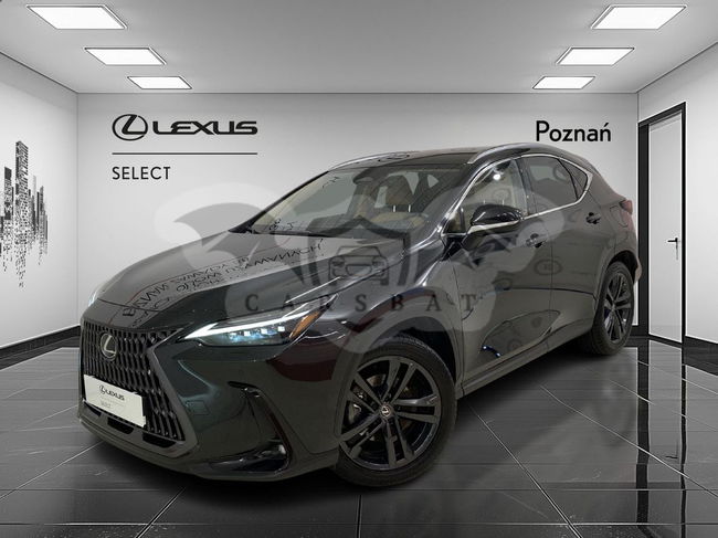 Lexus NX II 2024