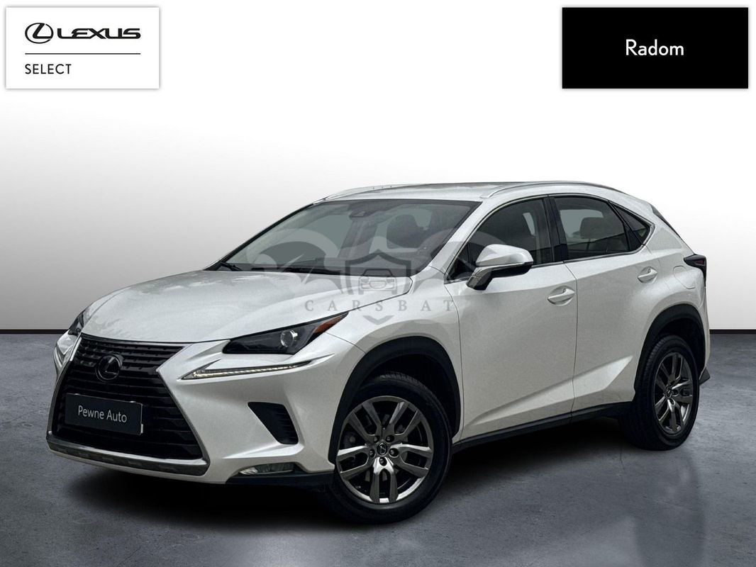Lexus NX I 300 Optimum AWD 2019
