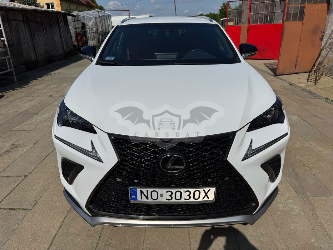 Lexus NX I 300 2018