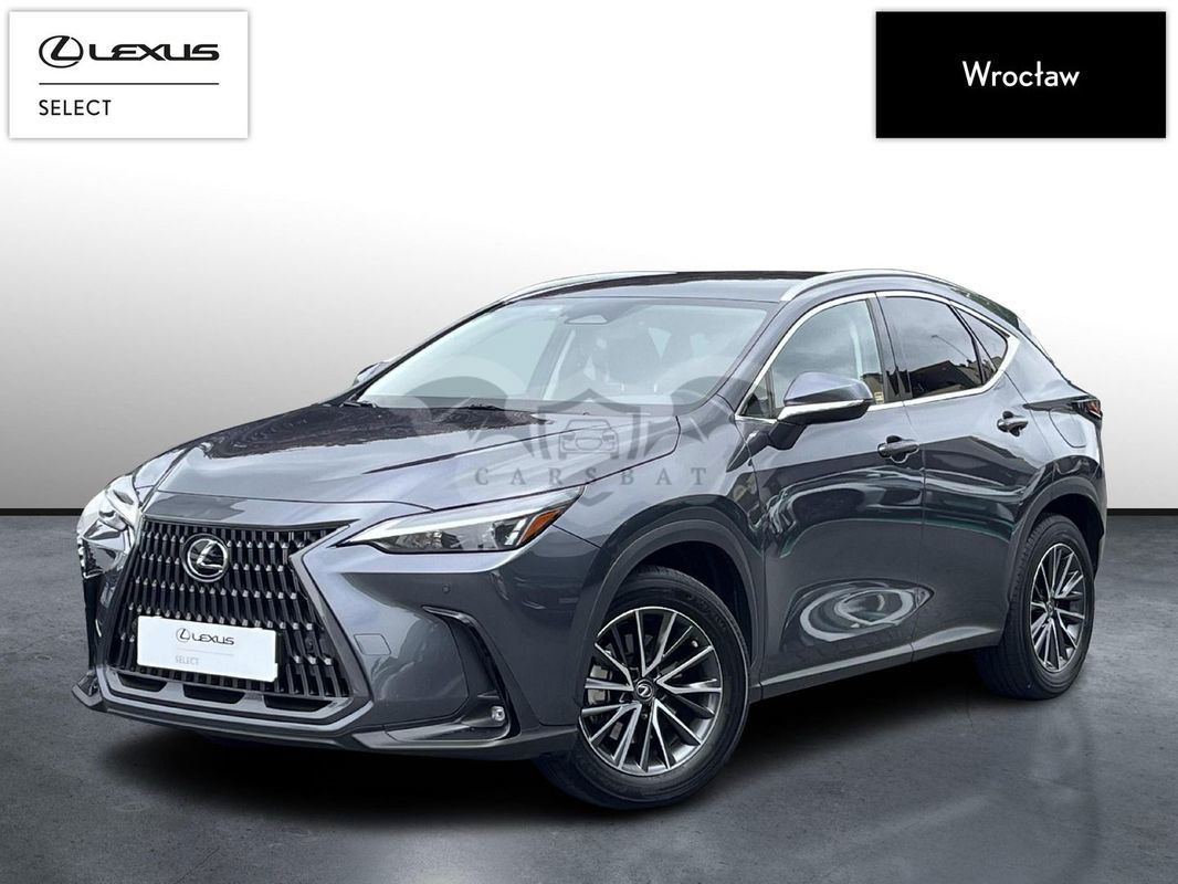 Lexus NX II 2021