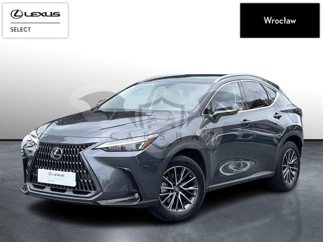 Lexus NX II 2021