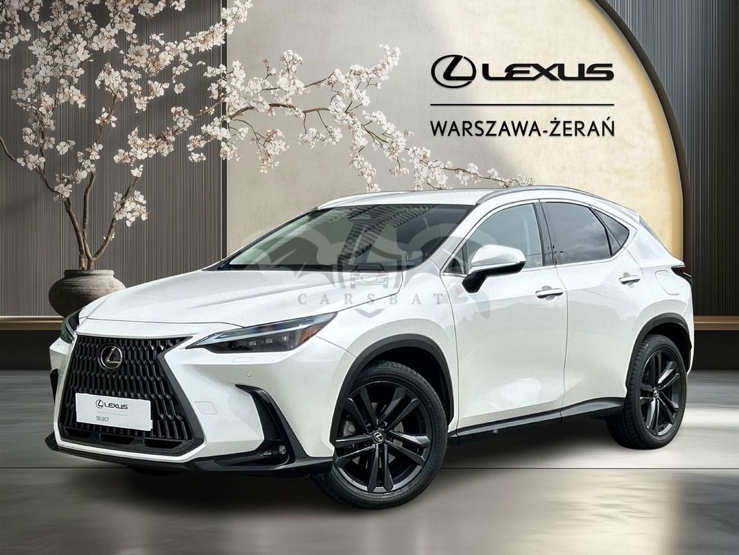 Lexus NX II 2024