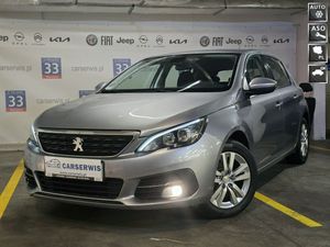 Peugeot 308 T9 2019