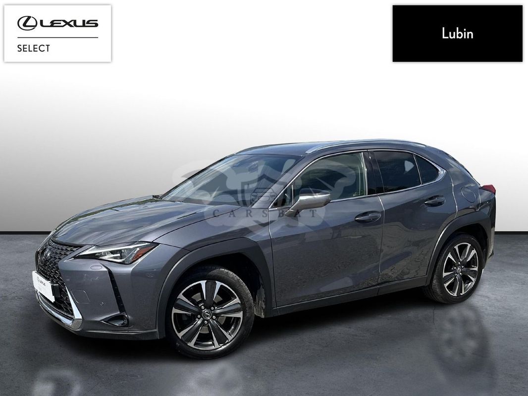Lexus UX 2019