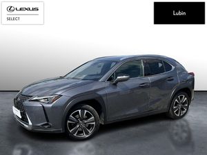 Lexus UX 2019