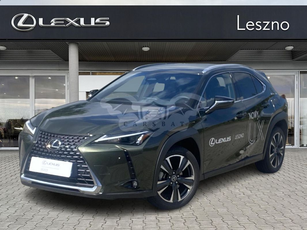 Lexus UX 300h Business 2024