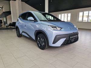 BYD Dolphin 2025