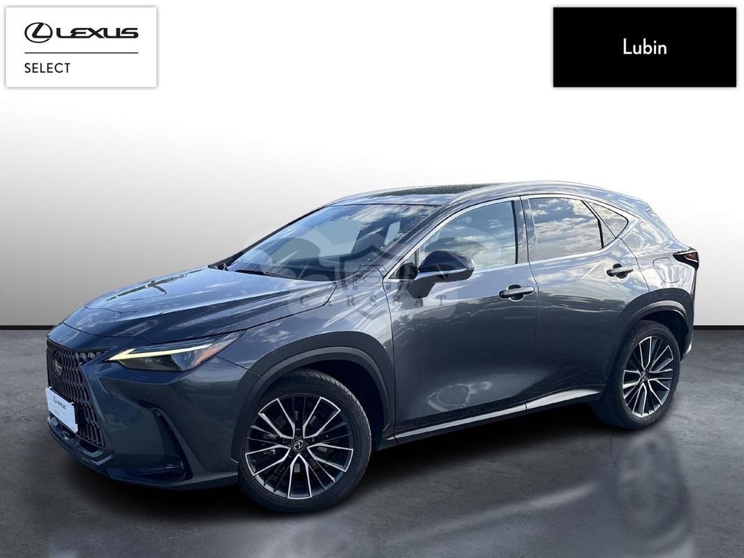 Lexus NX II 2022
