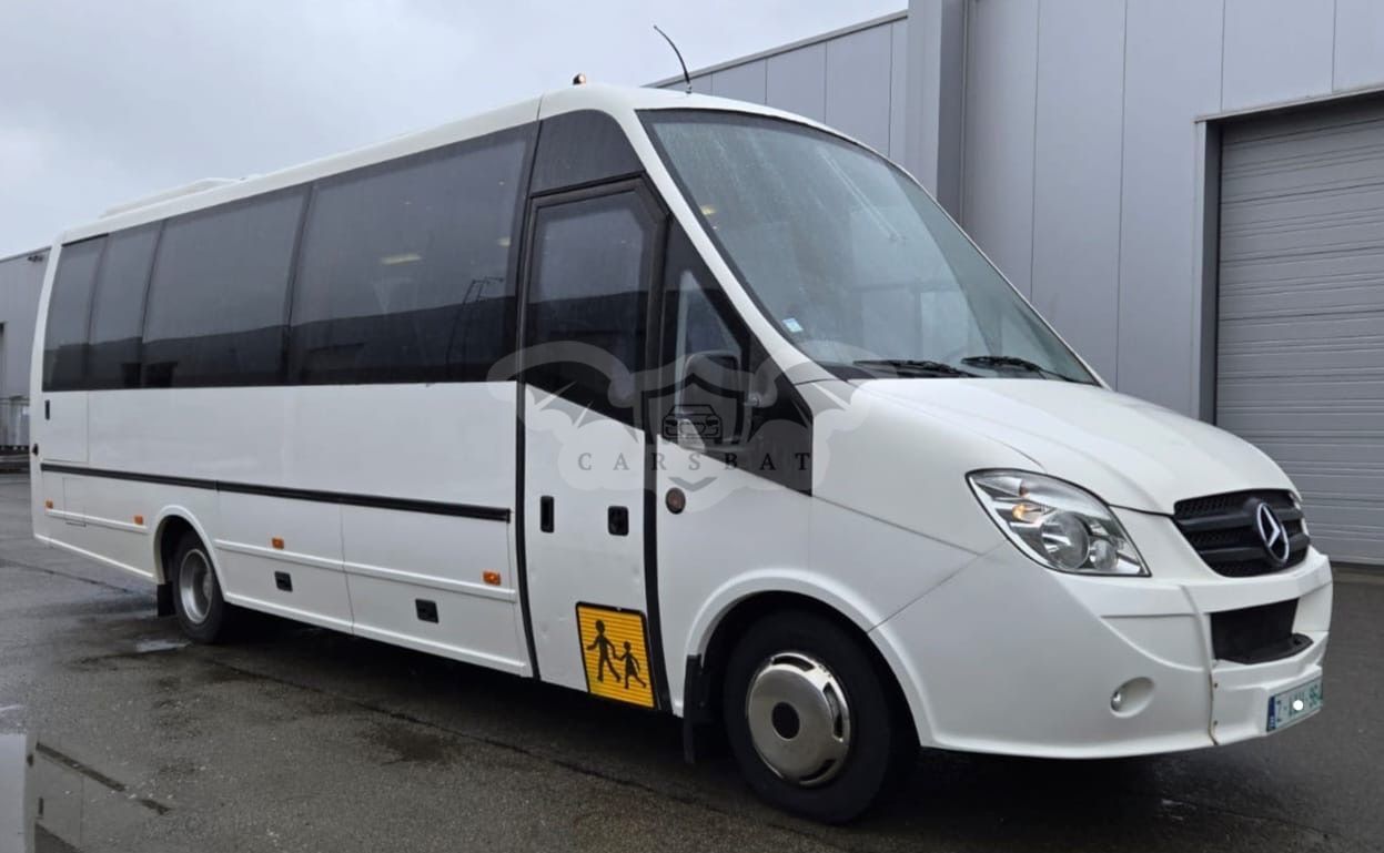 Mercedes-Benz Vario 2011