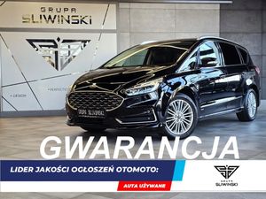 Ford S-Max II 2.0 EcoBlue AWD Vignale 2020