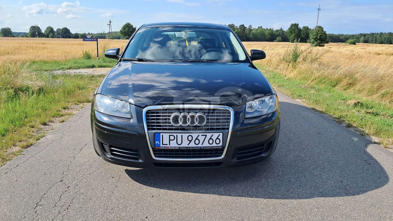 Audi A3 8P 1.9 TDI DPF Ambition 2006