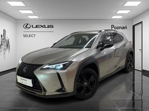 Lexus UX 2022