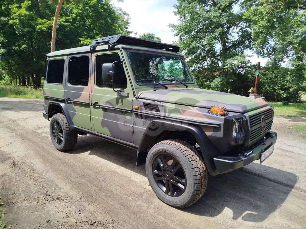 Mercedes-Benz G W463 300 CDI L Automatik DPF Professional Edition PUR 2010