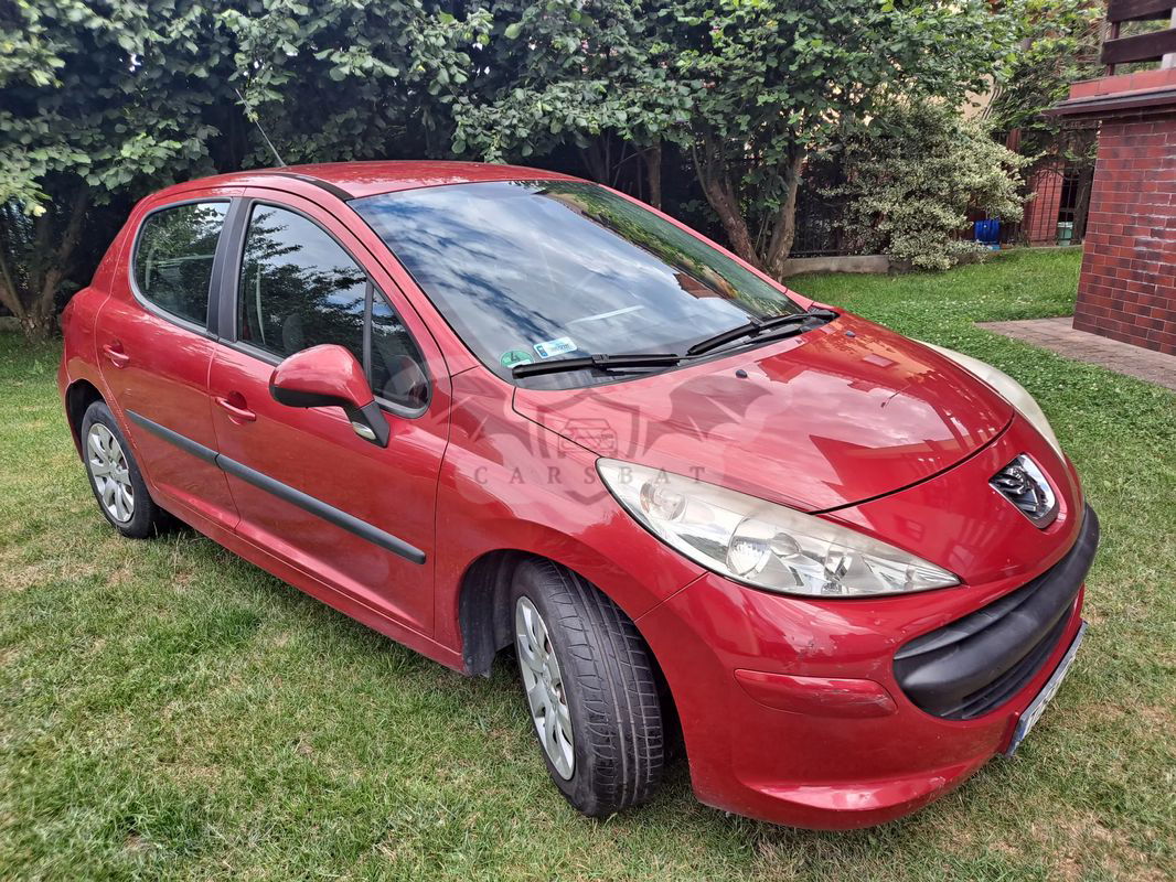 Peugeot 207 1.4 Presence 2007
