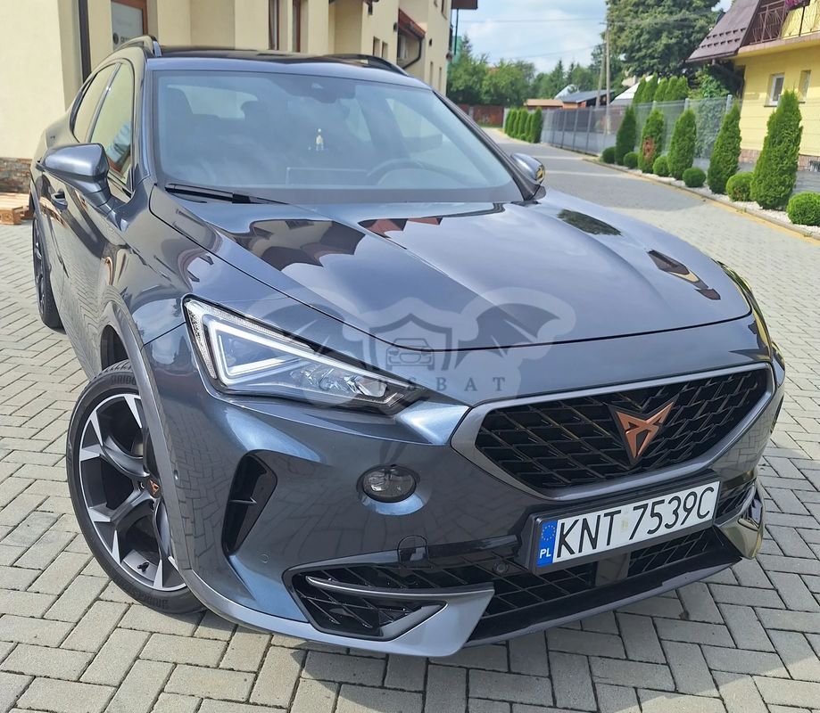 Cupra Formentor 2.0 TSI 4Drive VZ Tribe Edition DSG 2021