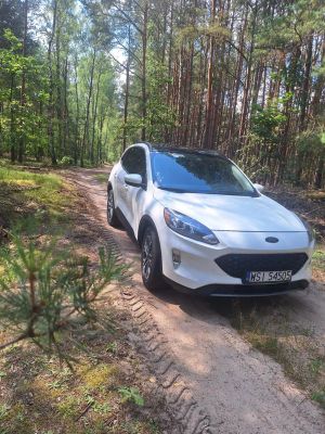 Ford Escape 2.0 EcoBoost AWD Titanium 2020