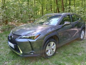 Lexus UX 250h GPF Business 2WD 2023