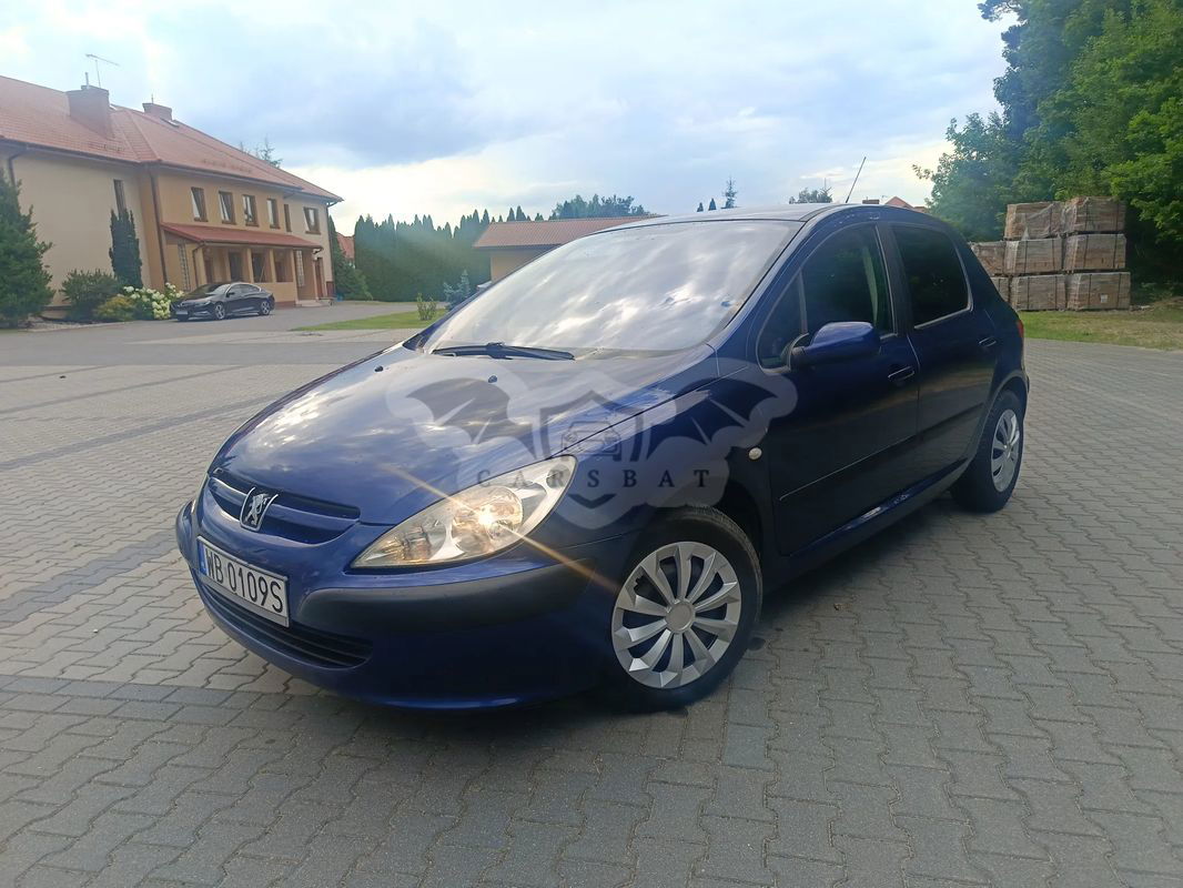 Peugeot 307 I 1.6 XS 2001