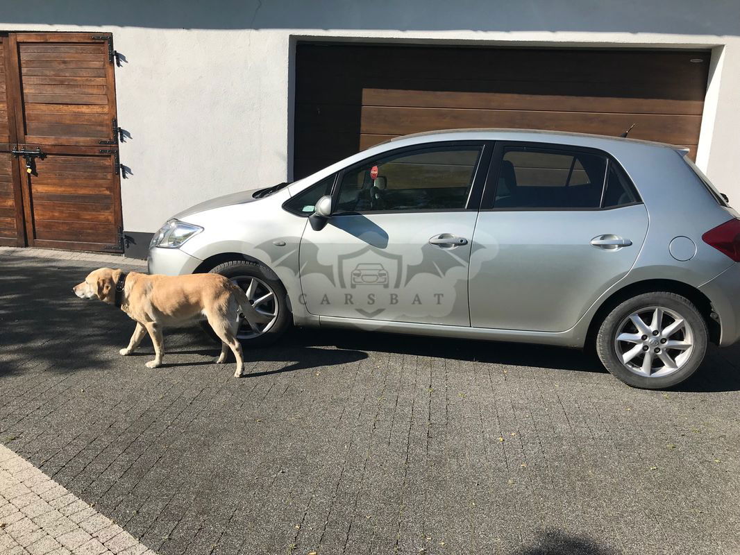 Toyota Auris I 2.0 D-4D Premium 2007