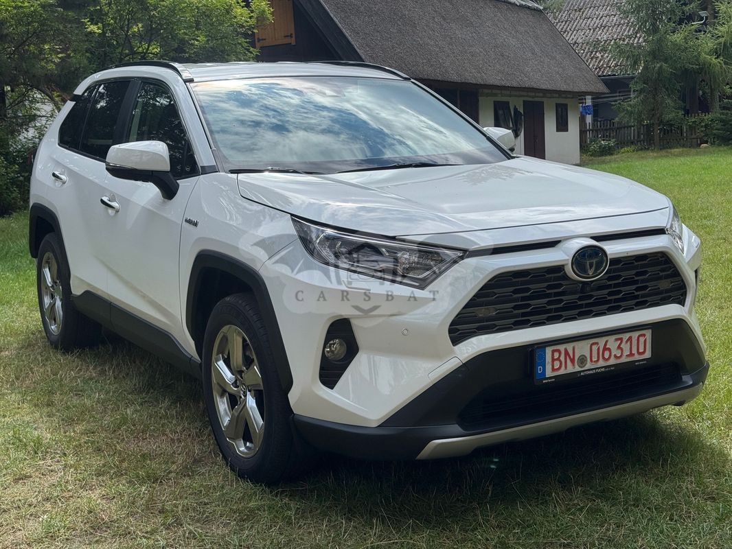 Toyota Rav4 V 2.5 Hybrid Executive 4x2 2019