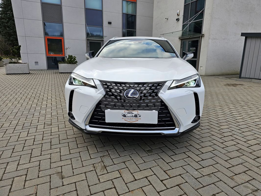 Lexus UX 300e 54.3 kWh Business Edition 2WD 2022