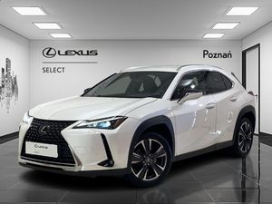 Lexus UX 250h GPF Business 2WD 2023