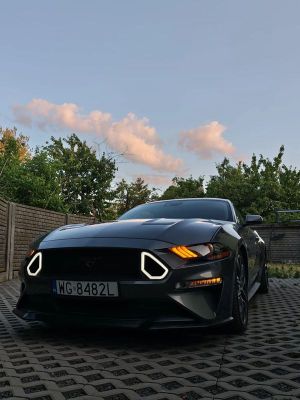 Ford Mustang Fastback 5.0 Ti-VCT V8 MACH1 2021