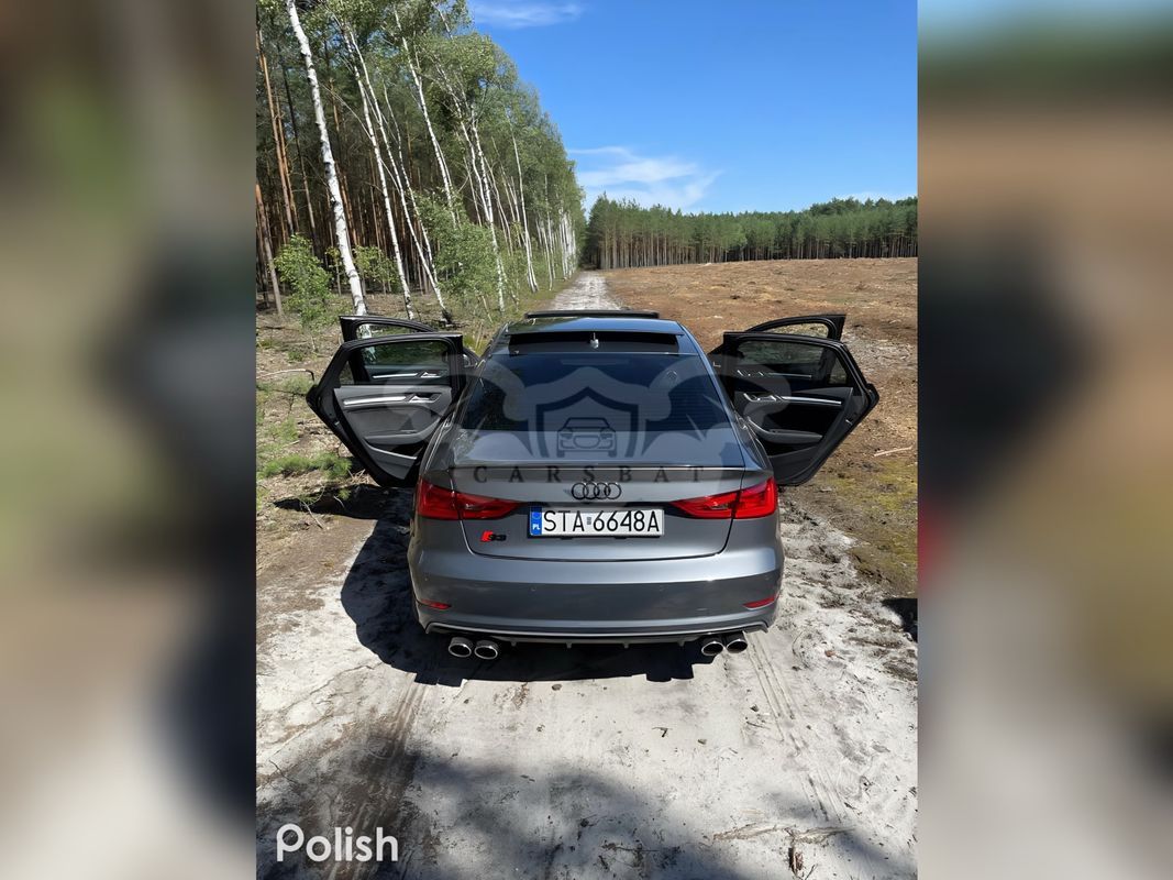 Audi A3 8V 2.0 TFSI quattro S tronic sport 2016
