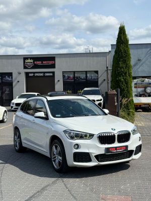 BMW X1 F48 xDrive25d M Sport sport 2016