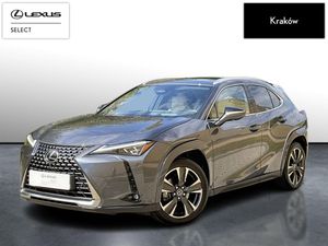 Lexus UX 300h Omotenashi AWD 2024