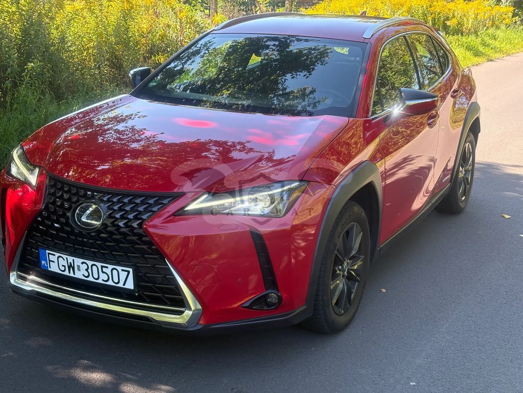 Lexus UX 2019
