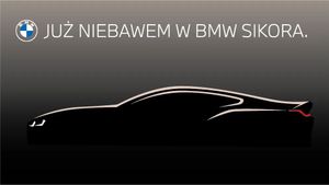 BMW X4 G02 xDrive20i 2024